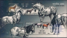 Miniature sheet of india of 2009 , Hores of india. 