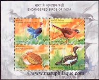 Miniature sheet of india of 2006, Endangered Birds of India.