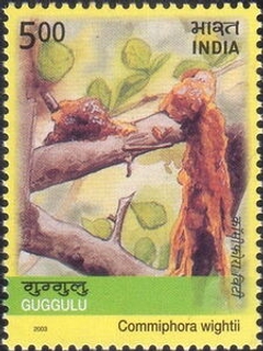 Miniature sheet of india of 2011,100 Years of Airmail.