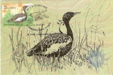 2006, Endangered Birds Of India-Nilgiri Laughingthrush, Manipur Bush-Quail, Lesser Florican, Greater Adjutant Stork.