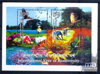 Miniature sheet of india of 2010,International year of Biodiversity.