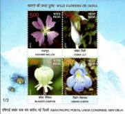 Miniature sheet of india of 2013,Wild Flowers Of India Asian Pacific Postal Union Congress , New Delhi.