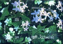 Miniature sheet of india of 2008,Josmine Folwer.