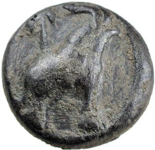 Copper Die-Struck Coin of Bhadra Mitra Dynasty From Vidarbha Region.