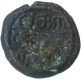 Copper Coin of Pandyas of South Arcot.