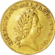 Gold Guinea of George IV of United Kingdom.