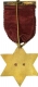 Star Shaped Brass Medal of Chapter Caledonia.