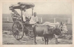 Picture post card of Bullock cart.