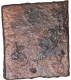 Punch Marked Copper Karshapana Coin of Vidarbha Janapada.