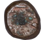 Copper Half Paisa Coin of Muhammad Ali of Arcot State.