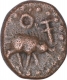 Copper One Kasu Coin of Tirumalraya of Vijayanagar Kingdom.