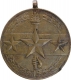 Copper Medal of National Physical Efficency.