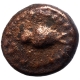 Rare Copper Kasu Coin of Nawabs of Arcot.