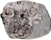 Silver Karshapana Punch Marked Coin of Kosala Janapada with tortoise and geometric punches.