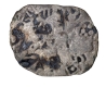 Silver Half Karshapana Punch Marked Coin of Magadha Janapada.