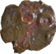 Copper Alloy Coin of Yajna Satakarni of Satavahana Dynasty.