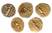 Viraraya Gold Fanam coins of Hoysala Dynasty.