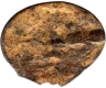 Copper Coin of Kadamba Dynasty.