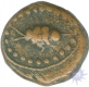 Coppe Coin of Tanjore mint of Arcot.