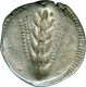 Silver Stater Coin of  Lucania of Greek.