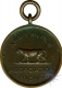 Copper Medal of Army Rifle Association India.