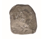 Punch Marked Silver Karshapana Coin of Kosala Janapada.