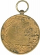 Coper Medal of Golden Jubilee Medal of Bahawalpur.