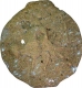 Very Rare Copper Coin of City State of Shuktimati.