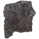 Copper Square Coin of Satavahana Dynasty of Vidarbha Region.