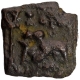 Very Rare Copper Square Coin of City State of Shuktimati.