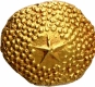 Rare Gold Star Pagoda Coin of Madras Presidency.