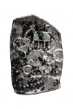 Punch Marked Silver Half Karshapana Coin of Vidarbha Janapada of Wainganga Valley.