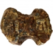 Cast Lead Damru shaped Coin of Ajitas of Erikachha Region of City State issue.