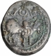 Copper Base Alloy Coin of Post Vakatakas.