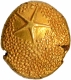 Gold Star Pagoda Coin of Madras Presidency.