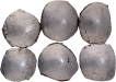  A lot of 6 unifaced Punch Marked Silver Shana Coins of Gandhara Janapada  