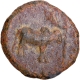 Karur Region Lead Coin of Pallavas of Kanchi.