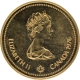 Gold One Hundred Dollars Coin of Queen Elizabeth II of Canada of 1976.