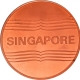 Copper Chevron Lion Medallion of Institute of Defence and Strategic Studies Singapore.