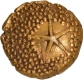 Deity Vishnu standing Gold Star Pagoda Coin of Madras Presidency.