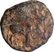 Karur Region Lead Coin of Pallavas of Kanchi.