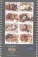 Miniature sheet of india of 2013, 100 Years Of Indian Cinema.