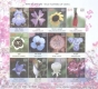 Miniature sheet of india of 2013,Wild Flowers Of India.