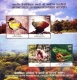 Miniature sheet of india of INDIA 2012-Endemic Species of India Biodiversity Hot spots Miniature Sheet-Flora & Fauna.