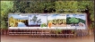 Miniature sheet of india of 2002, Mangroves.