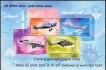 Miniature sheet of india of2003,Aero India.