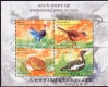 Miniature sheet of india of 2006, Endangered Birds of India.