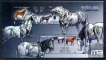 Miniature sheet of india of 2009, Horses of India.