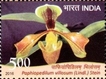 Miniature sheet of india of 2006, Endangered Birds of India.