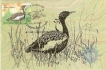 2006, Endangered Birds Of India-Nilgiri Laughingthrush, Manipur Bush-Quail, Lesser Florican, Greater Adjutant Stork.